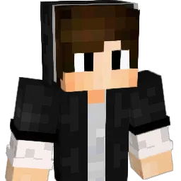 Schlingeling123 Minecraft avatar bust