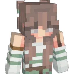 Schmelin0 Minecraft avatar bust