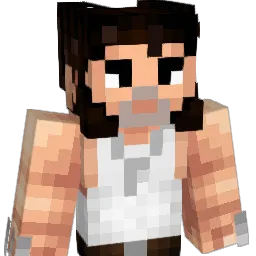 Schmool_24 Minecraft avatar bust