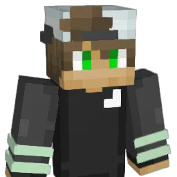 Schnaithi Minecraft avatar bust