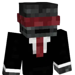 Schubertt69 Minecraft avatar bust