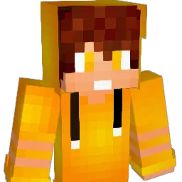 Schwabel_Michi Minecraft avatar bust