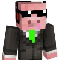 Schwallio Minecraft avatar bust