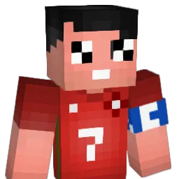 Schweppz237 Minecraft avatar bust
