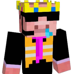 Schwoin Minecraft avatar bust