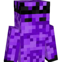 ScreenedMedal81 Minecraft avatar bust