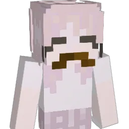 Screler's Minecraft skin