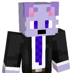 Sdnax's Minecraft skin