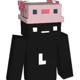 Sdrooo Minecraft avatar bust