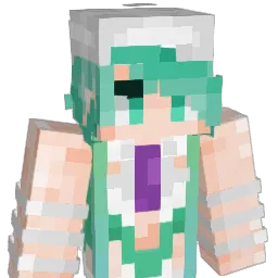 SeBash_y Minecraft avatar bust