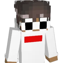 SeFFPlays0507 Minecraft avatar bust