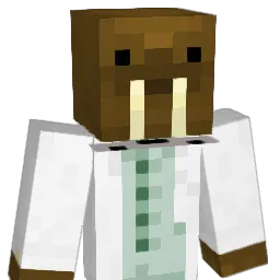 SeaMonkey9600 Minecraft avatar bust