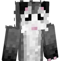 SeaWolf117 Minecraft avatar bust