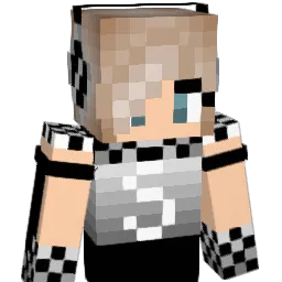 Seacat10 Minecraft avatar bust