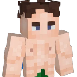 SeagullQp Minecraft avatar bust