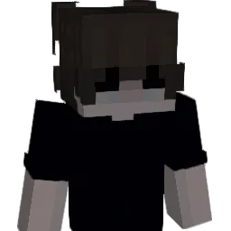 Seanb313 Minecraft avatar bust