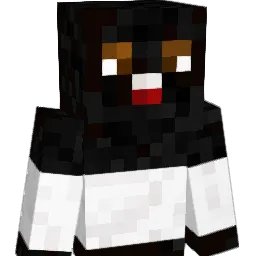 Seanerdawg Minecraft avatar bust