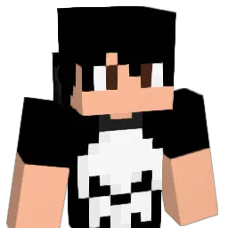 Seb2424 Minecraft avatar bust