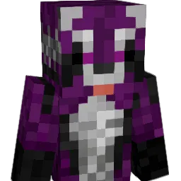 Seb772 Minecraft avatar bust