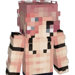 Sebastopolmr160 Minecraft avatar bust