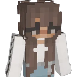Sebbi_2009 Minecraft avatar bust
