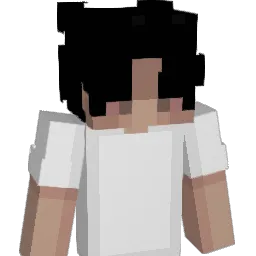 Sebby332211 Minecraft avatar bust