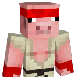 SebbyG16 Minecraft avatar bust
