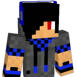 Sebi1100 Minecraft avatar bust