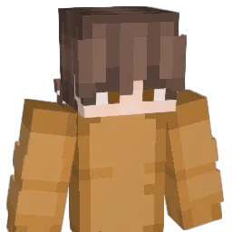 SebiSGR Minecraft avatar bust
