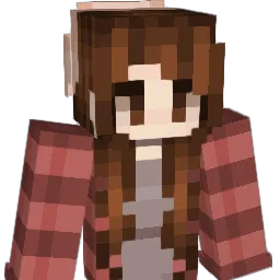 Sebinelevyn Minecraft avatar bust