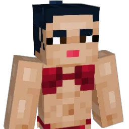 SeboofPlays's Minecraft skin