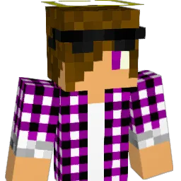 SebtyOne Minecraft avatar bust