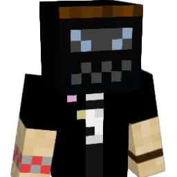 Secretive9311 Minecraft avatar bust