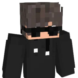 SeebixYT Minecraft avatar bust