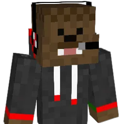 Seebo343 Minecraft avatar bust