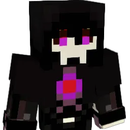 SeelenFresser201 Minecraft avatar bust