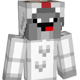 Seensinity Minecraft avatar bust