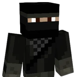 Seerux Minecraft avatar bust