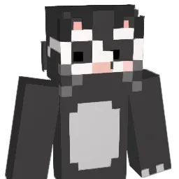 Sehes_ Minecraft avatar bust