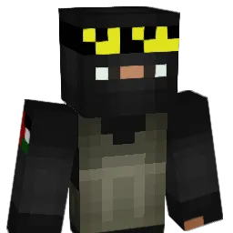 Seidiiii Minecraft avatar bust
