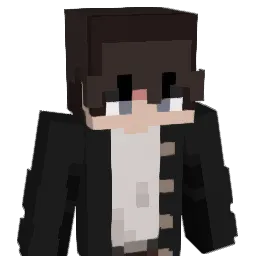 Seiku104 Minecraft avatar bust