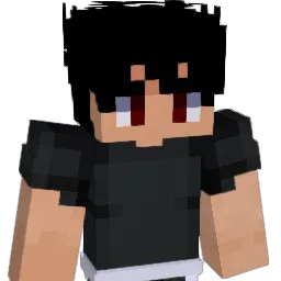 Seinaao_ Minecraft avatar bust