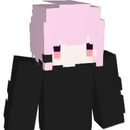 Sekill_1103 Minecraft avatar bust