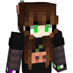 Sekinin_ Minecraft avatar bust