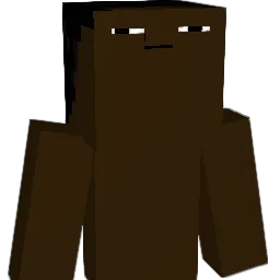 Sel8207 Minecraft avatar bust