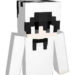 Selectors Minecraft avatar bust