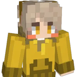 Seli9053 Minecraft avatar bust