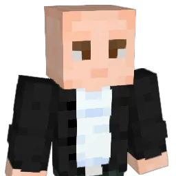 Selis1863 Minecraft avatar bust