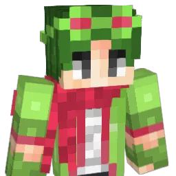 Selius_ Minecraft avatar bust