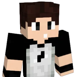 SenFly_YT Minecraft avatar bust